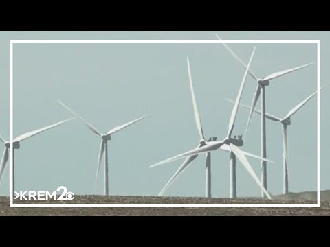 Attorneys general from 17 states file suit against Trump order on wind energy